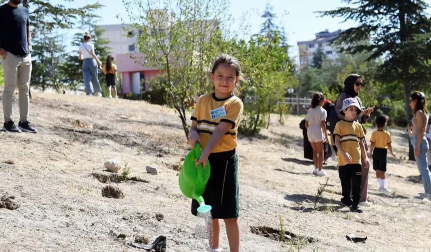 Çekerek'te Yeşil Vatan Etkinlikleri Ocak Ayı Boyunca Sürecek