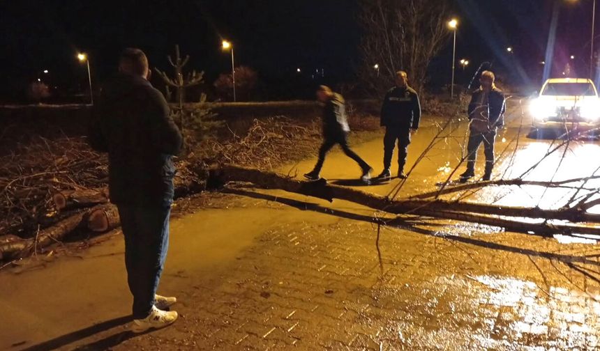 Son Dakika: Yozgat’ın o ilçesinde fırtına ağaçları devirdi
