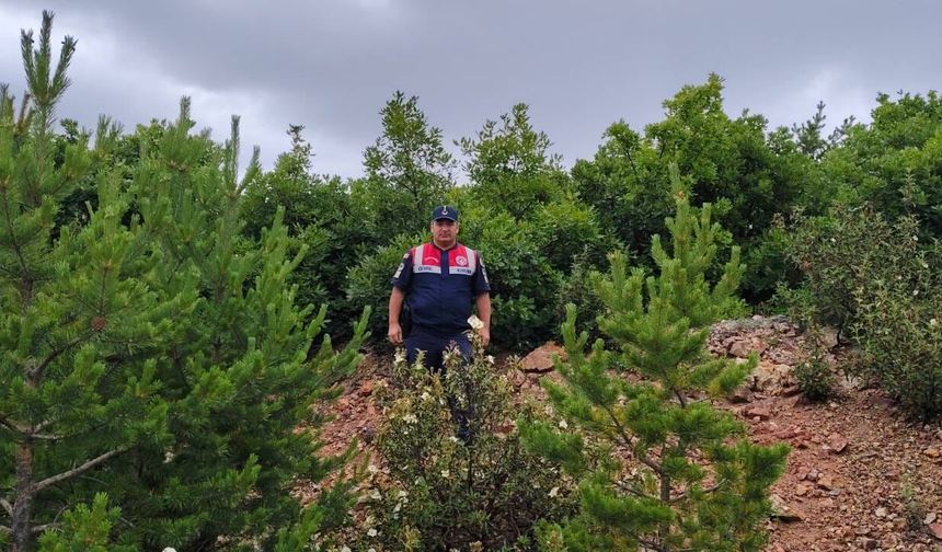 Yozgat’ta Doğa Denetimi! Jandarma Ormanlık Alanlarda Kontrol Yaptı