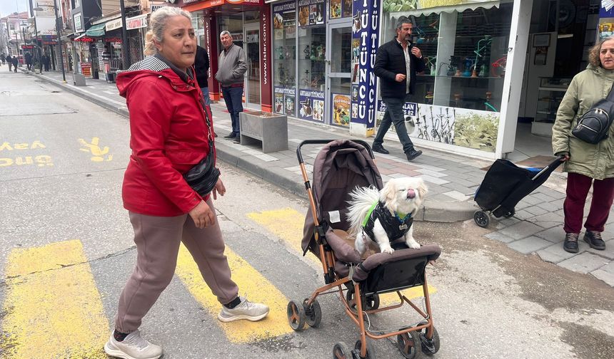 Yerköy’de Bebek Arabasında Gezdirilen “Leydi” Sosyal Medyada İlgi Odağı Oldu