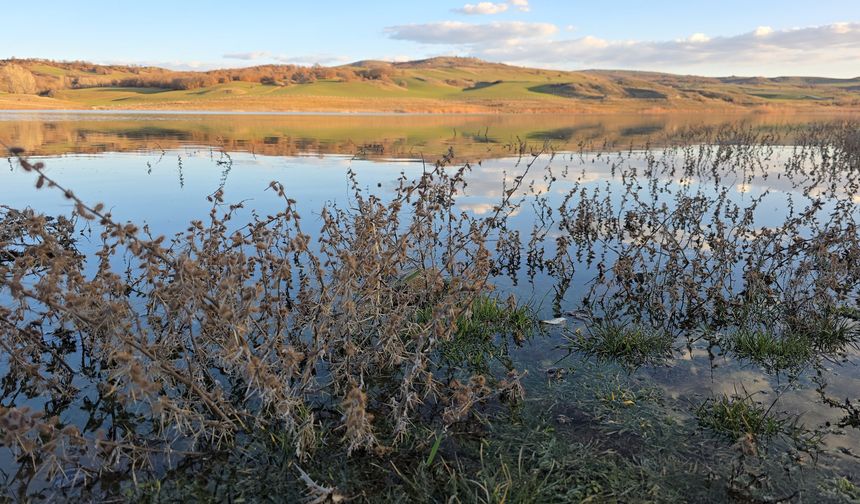 Çiftçinin yüzü güldü