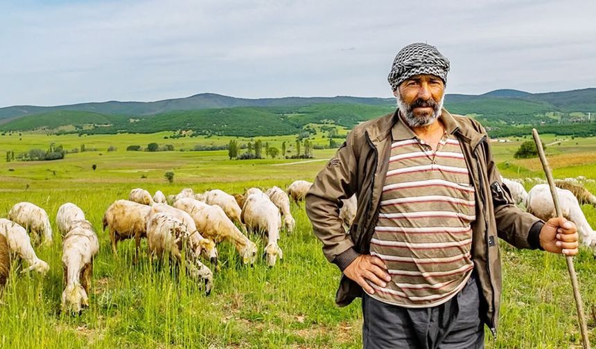 Objektife yansıyanlar
