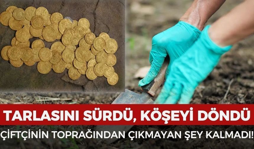 Tarlayı Sürerken Servet Buldu! Topraktan Altın Sikkeler ve Külçeler Çıktı
