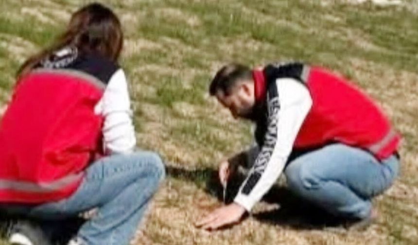 Sarıkaya’da Tarım Arazilerine Sıkı Takip: Zabrus ve Tarla Faresine Karşı Teknik Kuşatma