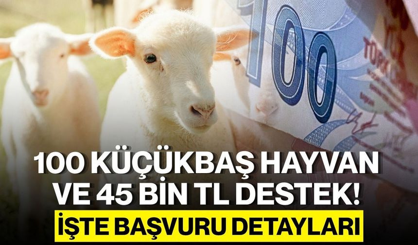 100 Küçükbaş Hayvan ve 45 Bin TL Destek Başladı: Başvuru Şartları ve Detaylar Açıklandı