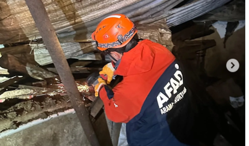 Yozgat’ta Ahır Çatısı Çöktü: 25 Büyükbaş Hayvan Vardı