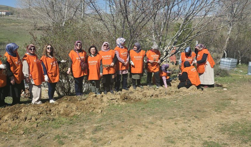 Lavanta kokuları saracak