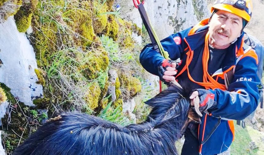 Yozgat'ta nefes kesen operasyon!