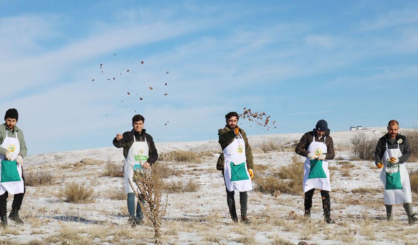 Yozgat’ta Geleceğe Nefes: Binlerce Sedir Tohumu Kar Üstünde Toprakla Buluştu
