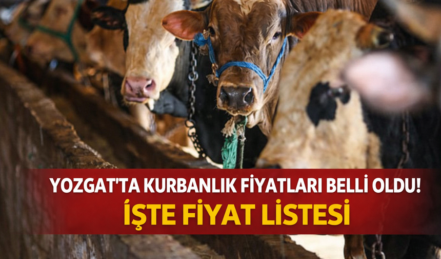 Yozgat Kurbanlık Fiyatları Ne Kadar? Büyükbaş ve Küçükbaş Güncel Fiyat Listesi 2026