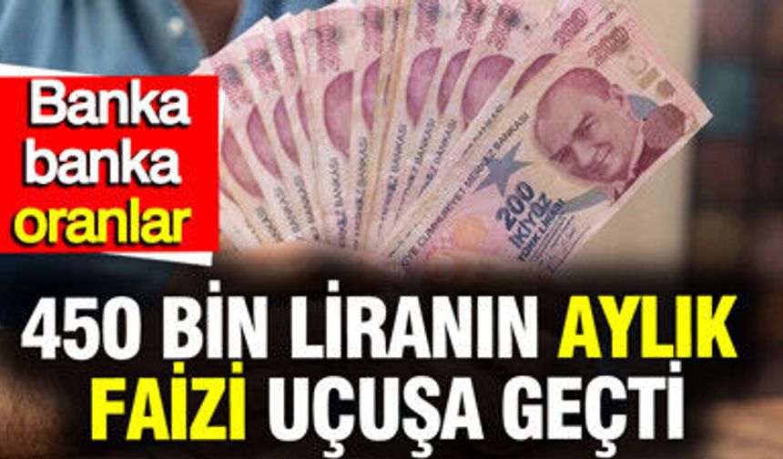 450 Bin TL’nin Aylık Faiz Getirisi Güncellendi: Banka Banka Yeni Oranlar