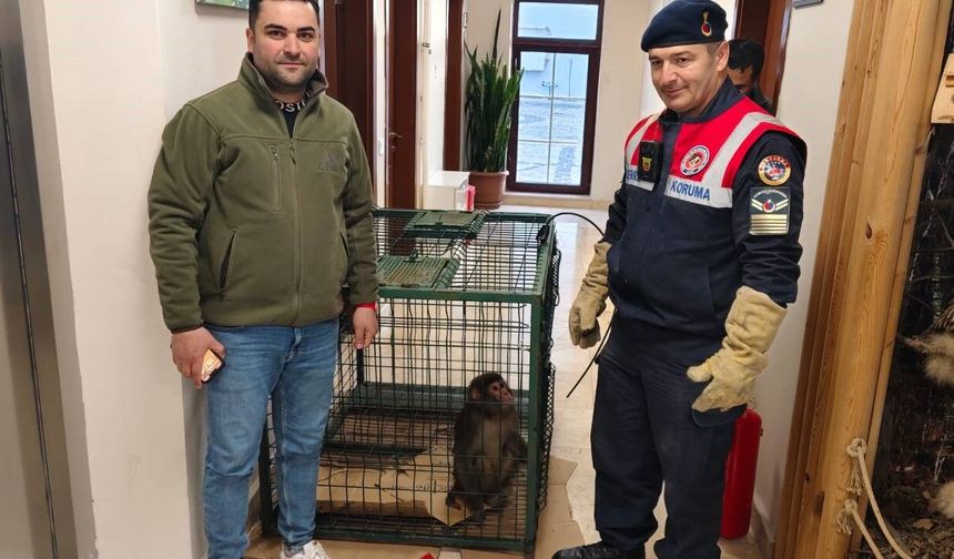 Yozgat’ta Köy Yolunda Bulundu: Jandarma ekiplerini harekete geçirdi
