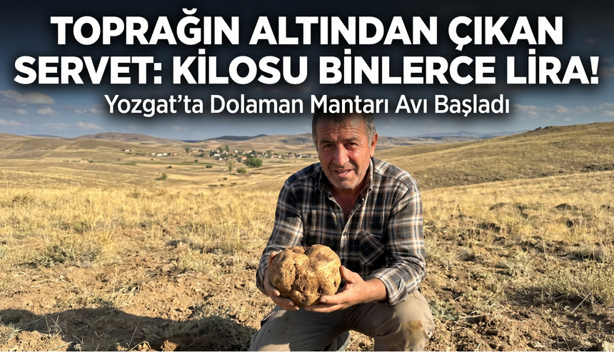 Yozgat’ta Toprağın Altından Çıkan Servet: Kilosu Binlerce Lira!