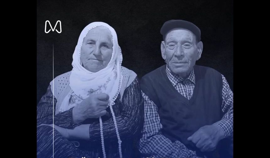 Boğazlıyan’ın Asırlık Çınarı'ndan acı haber