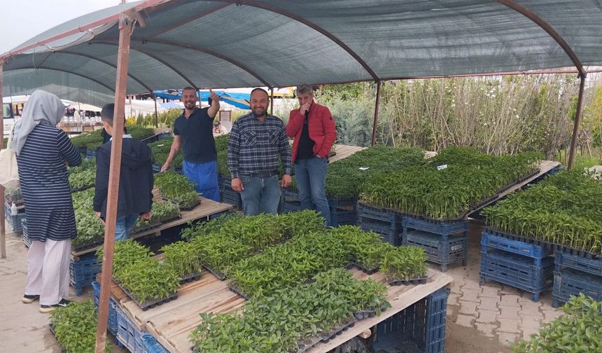 Boğazlıyan’da Bahar Bereketi: Köylüoğlu Fidancılık Kaliteli Fideleri Üreticilerle Buluşturuyor