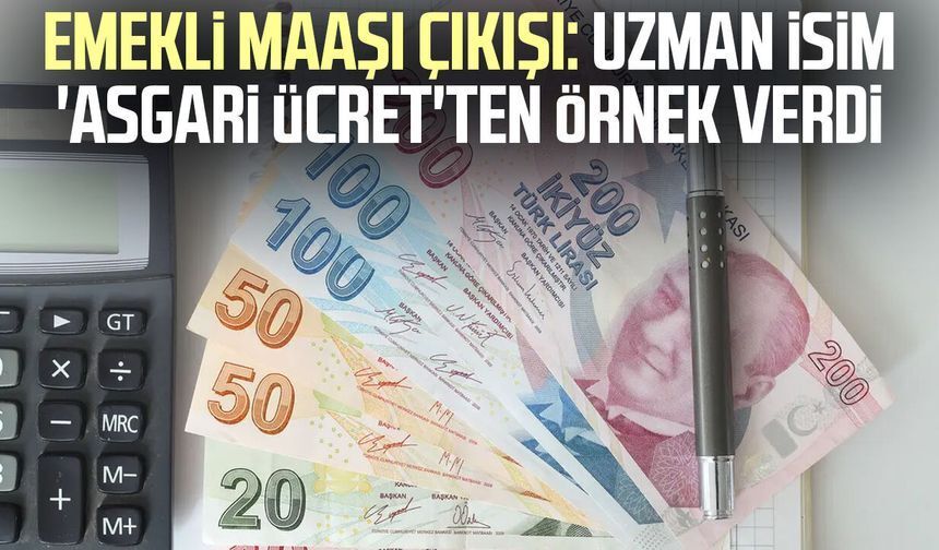 Uzman İsimden Emekli Maaşı Yorumu: Asgari Ücret Örneği Dikkat Çekti