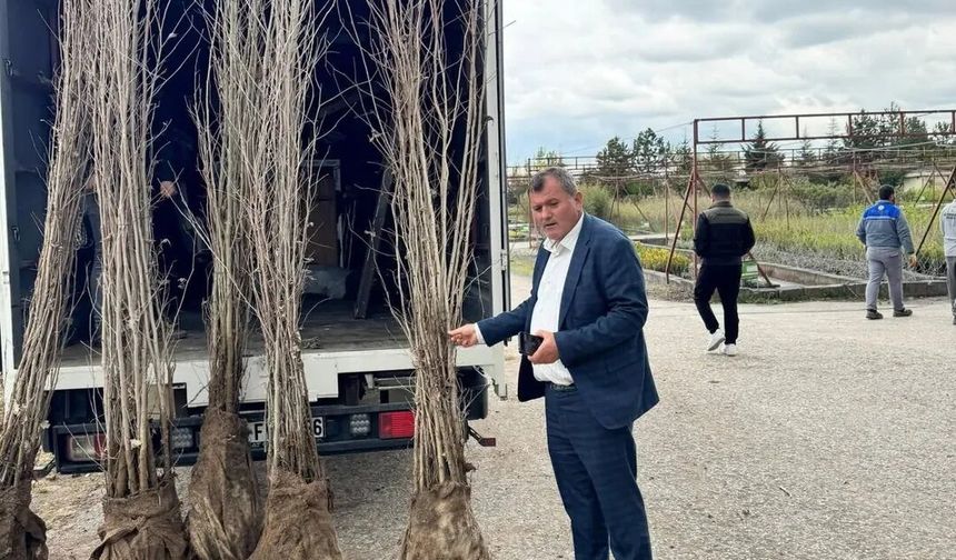 Genç Kazankayalılar Derneği’nden Yeşil Gelecek Hamlesi