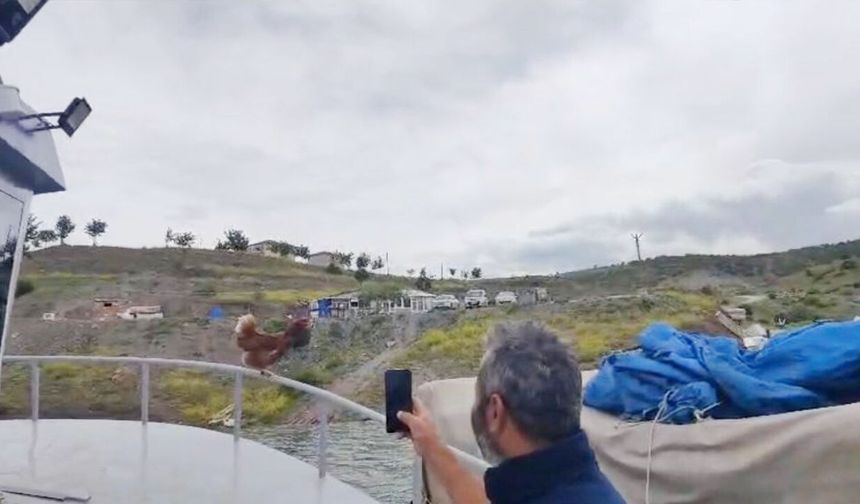 Yok böyle kaptan!