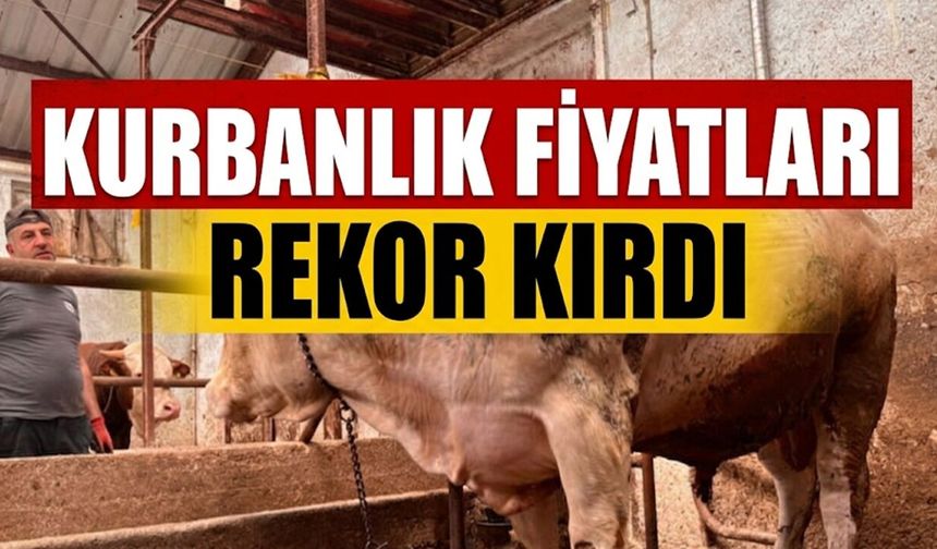 2026 Kurbanlık Fiyatları Rekora Koşuyor! Büyükbaş 400 Bin TL Küçükbaş 50 Bin TL'yi Gördü