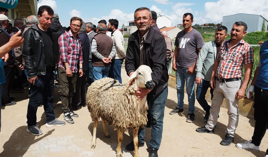 SAĞLIKLI KOÇLARLA  KAN DEĞİŞECEK!