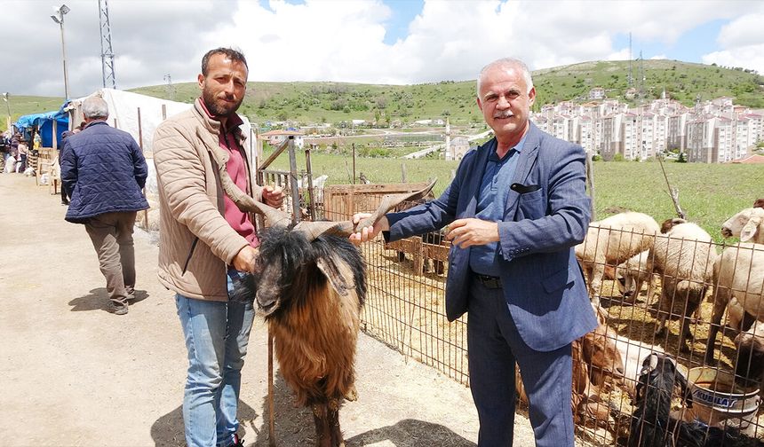 Son Günlerde Sıkı Pazarlık