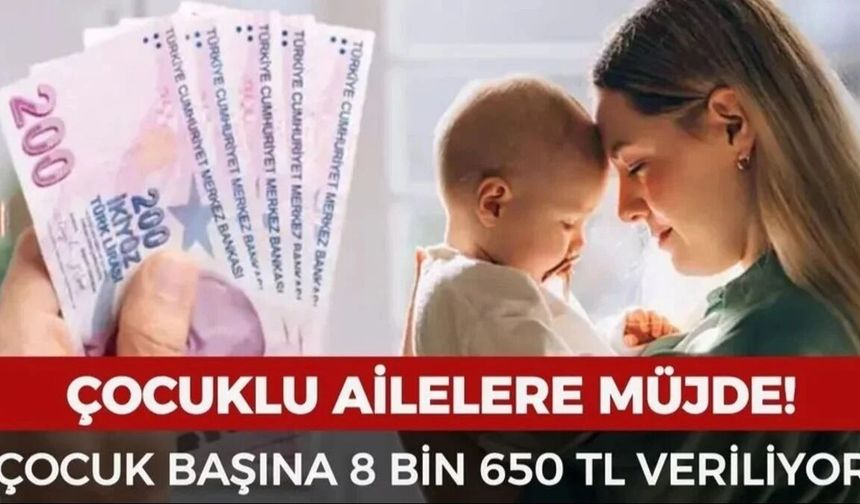 Çocuklu Ailelere 8.650 TL Destek Verilecek: Başvuru Şartları ve Detaylar Açıklandı