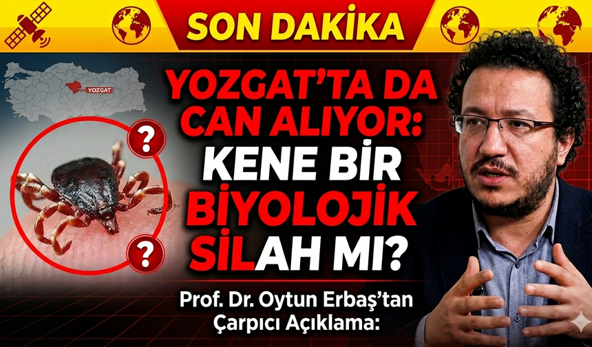 Yozgat’ta da can alıyor: Kene bir biyolojik silah mı?