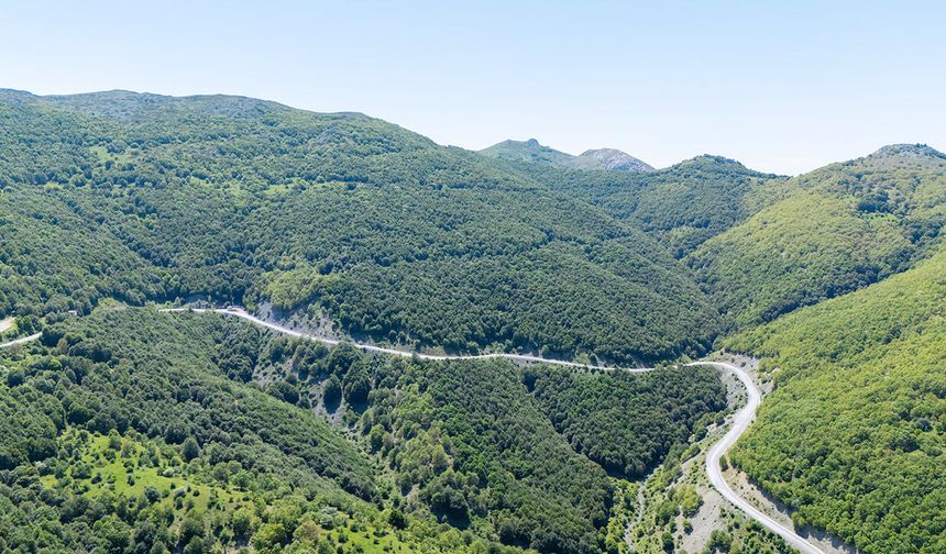 Kartpostallık manzara!