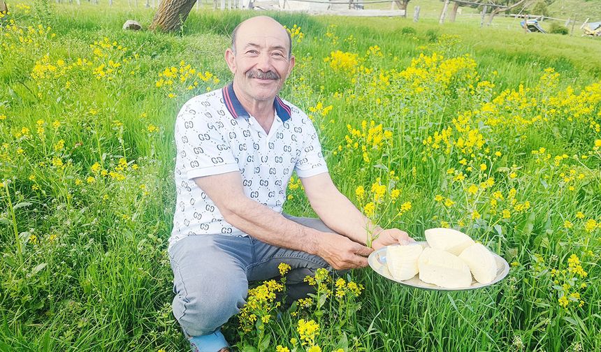 Yozgat’ta yaylada hayat başladı