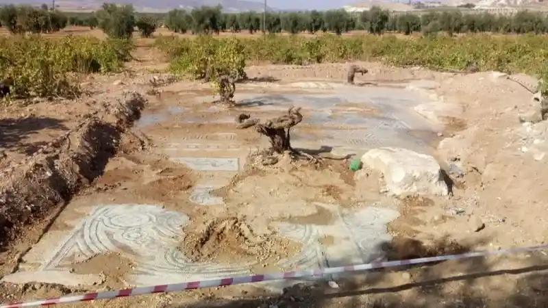 Çiftçi Traktörüyle Tarla Sürerken Pulluğuna Takıldı! 5000 Yıllık Tarih Fışkırdı, Yetkililer Devreye Girdi