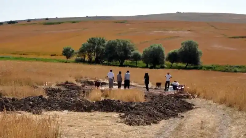 Çiftçi Traktörüyle Tarla Sürerken Pulluğuna Takıldı! 5000 Yıllık Tarih Fışkırdı, Yetkililer Devreye Girdi