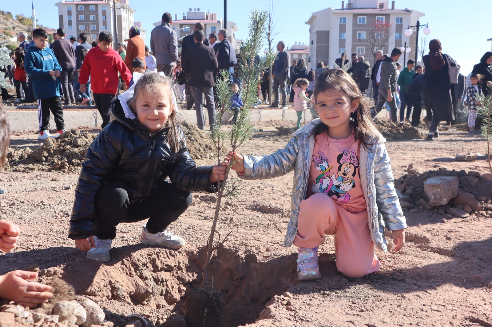 Yozgat Toki Fidan Dikme (2)