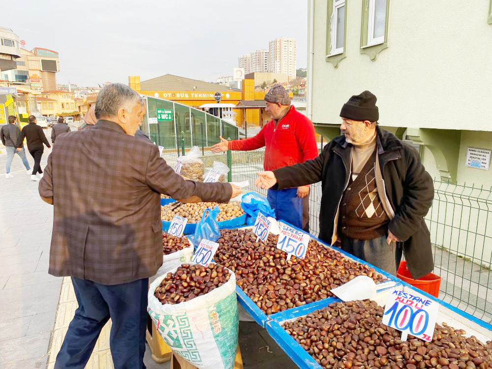 Yozgat Kestane (1)