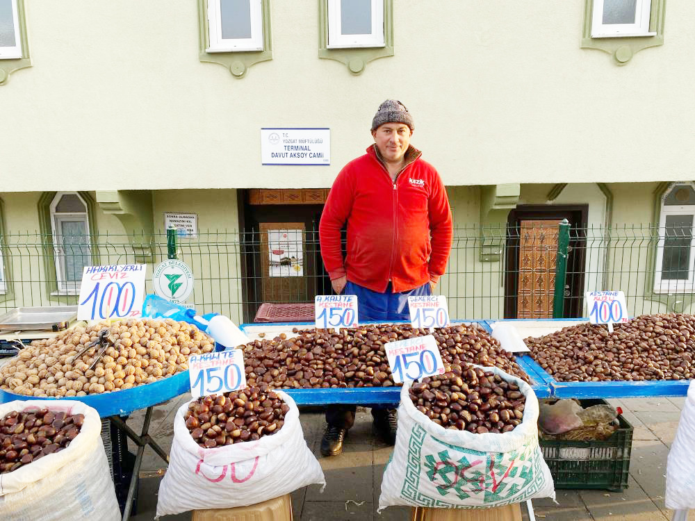 Yozgat Kestane (2)