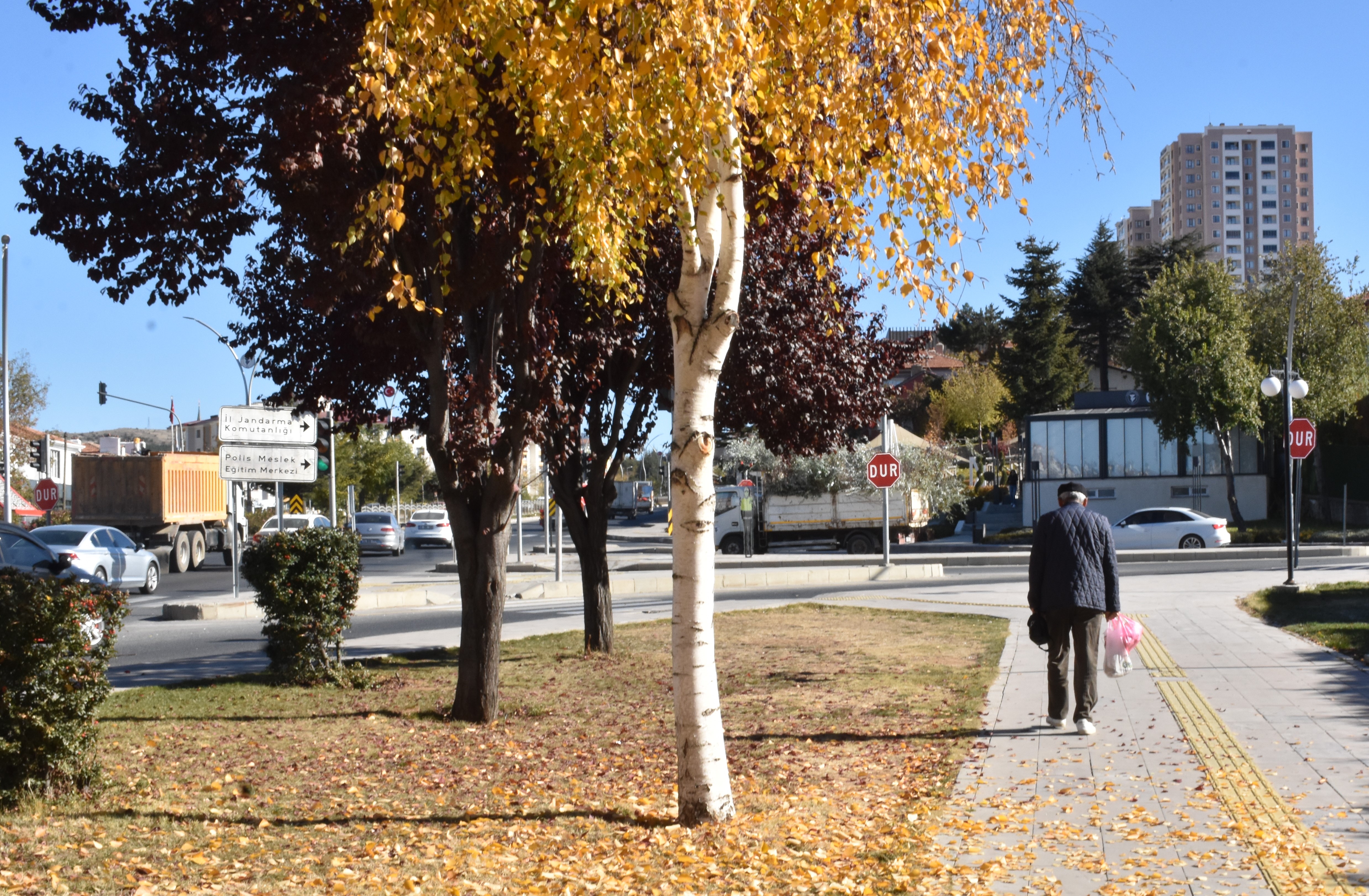 Yozgat'ta Sonbaharın Büyüleyici Renk Cümbüşü!