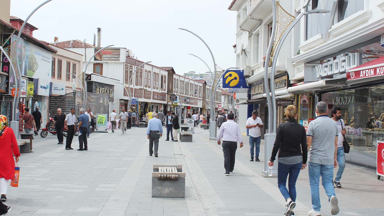 Yozgat Saraykent Tarla (1)