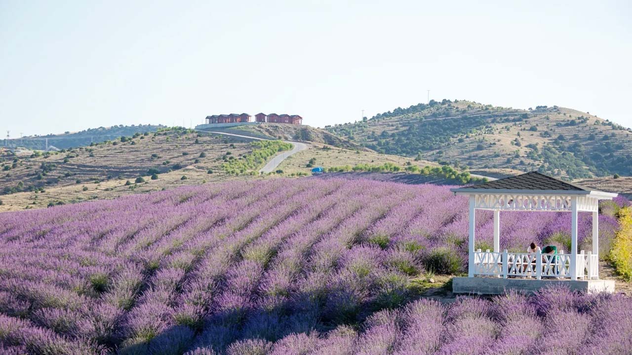 Dış Çekim (7)