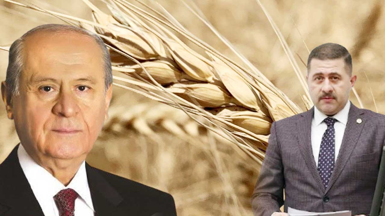 M H P Yozgat Ethem Sedef Bugday 1