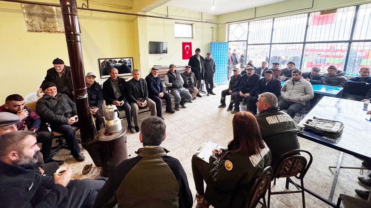 Orman Yangınları (4)