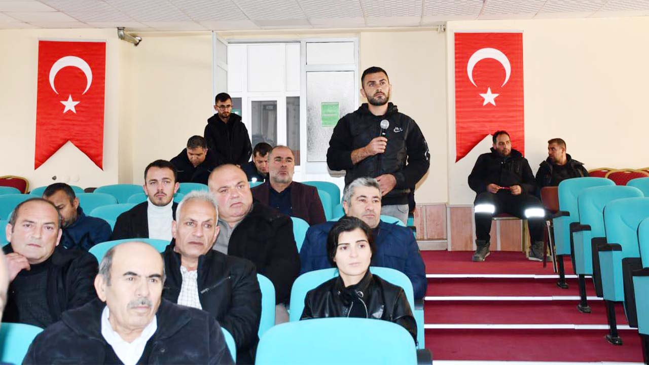 Saraykent Sokak Hayvanları (1)