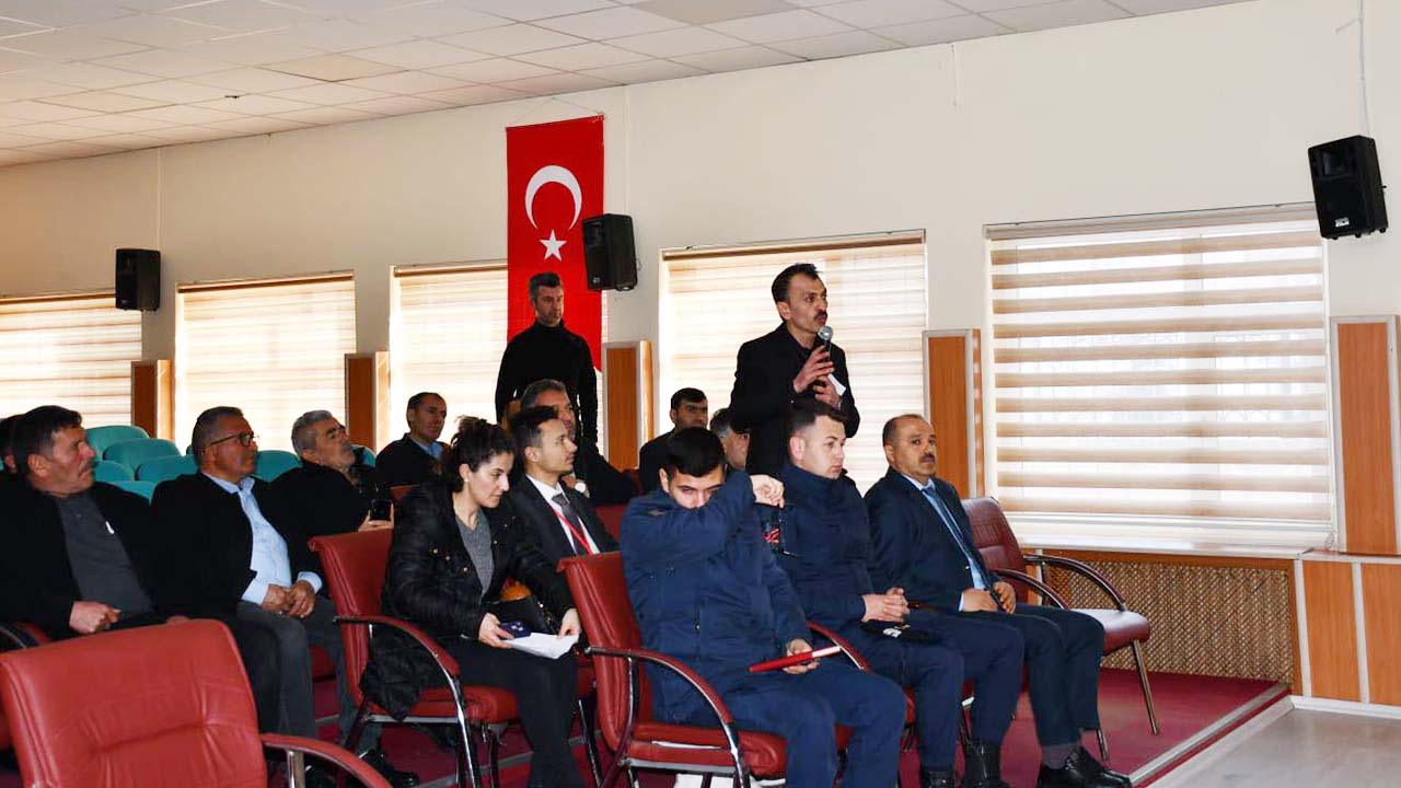 Saraykent Sokak Hayvanları (4)