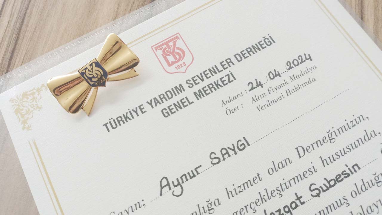 Yardımsevenler (4)