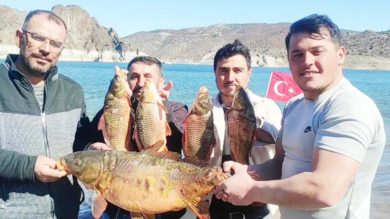 Çekerek Sazan (4)