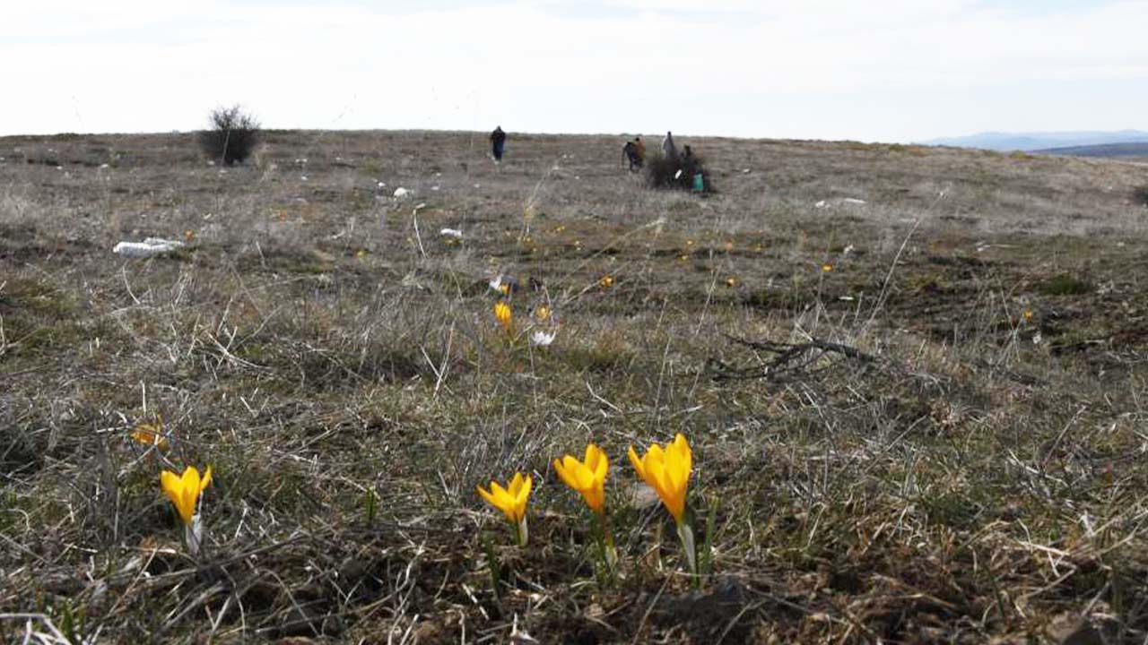 Çiğdem Yozgat (3)