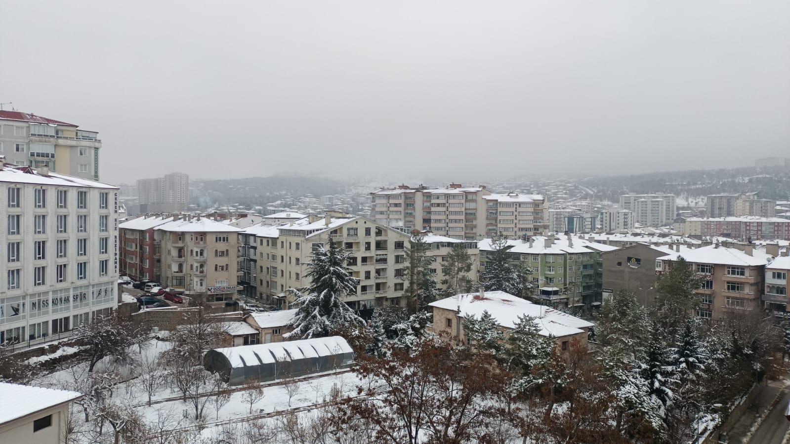 F5E77E49 27Ed 41Ec A651 96C47E56C37B-4