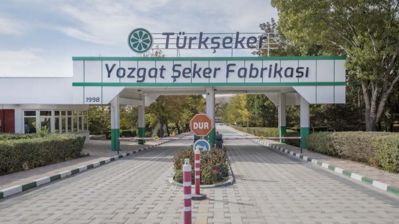 Türkiye Şeker Fabrikası (2)