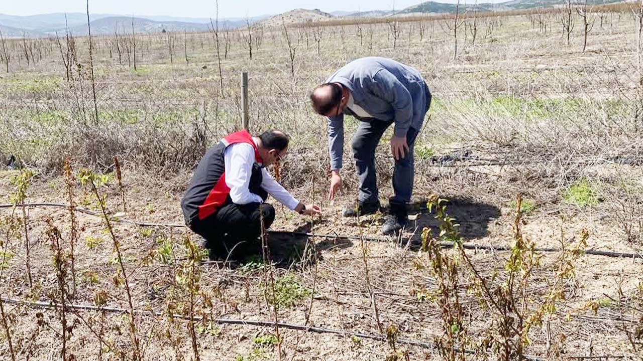 Yozgat Tarım Inceleme (2)