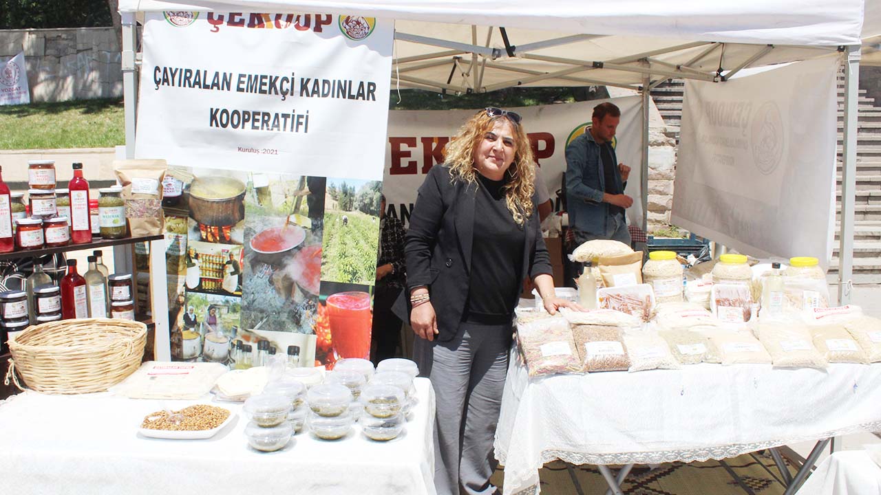 Çekoop (1)