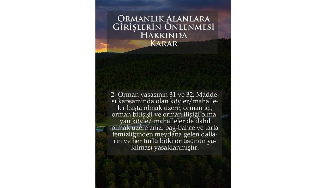 Orman Yangınları (1)-1