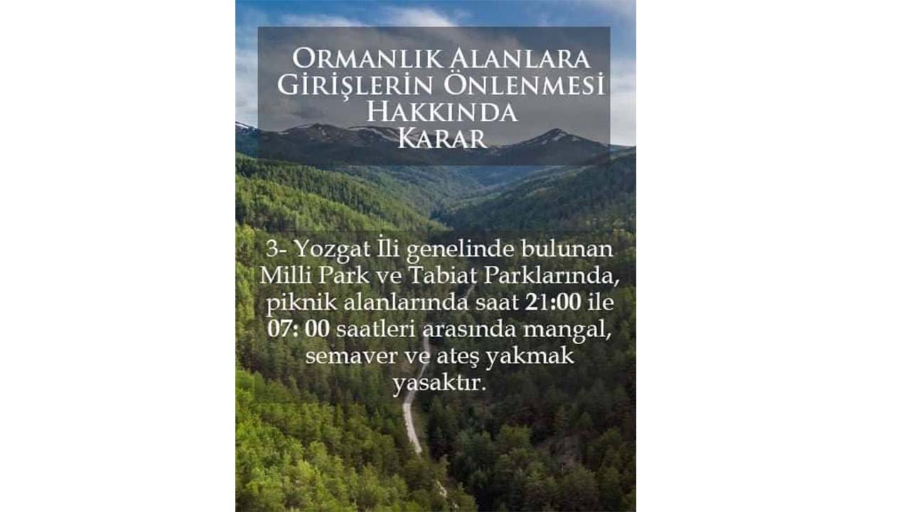 Orman Yangınları (2)-1